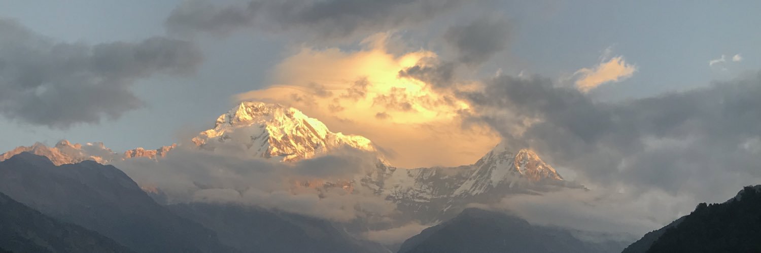 Jan Bostock 💙 banner