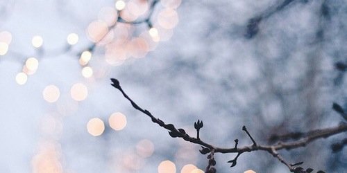 gvafer's profile banner image