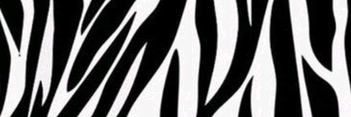 Blanquii5's profile banner image