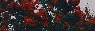 alrop22's profile banner image