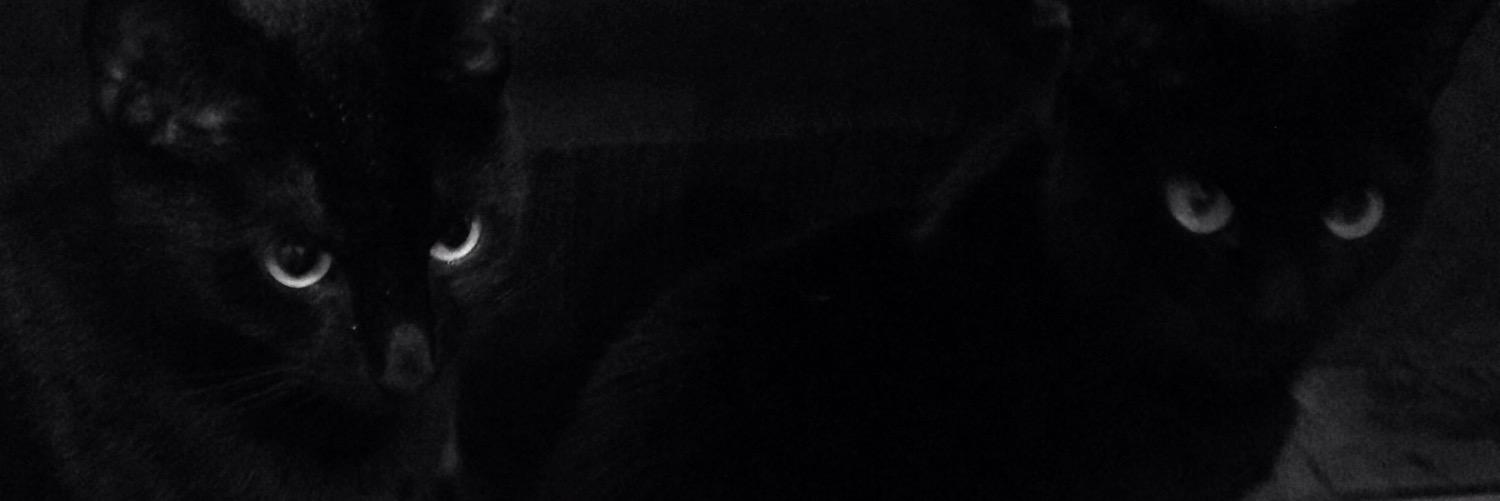 Sideshow Emma banner