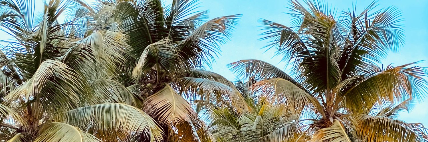 thereisasay's profile banner image
