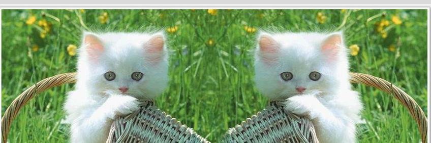 DestrinWiliani's profile banner image