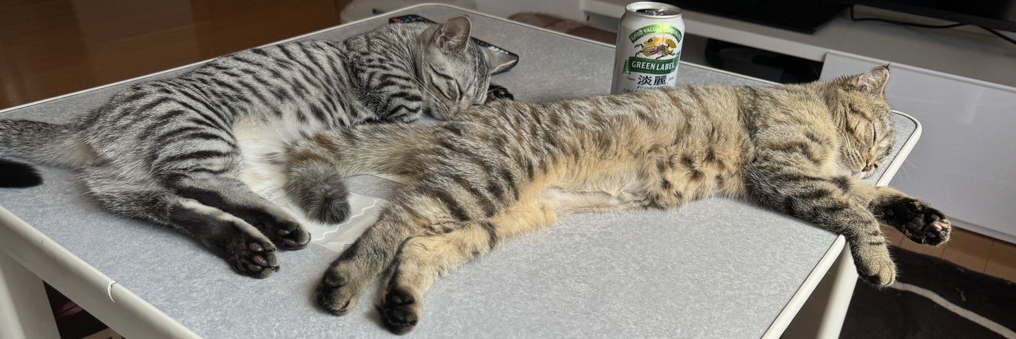 ꪻꪮꪑꪖꪻꪮ🍅 *fam banner