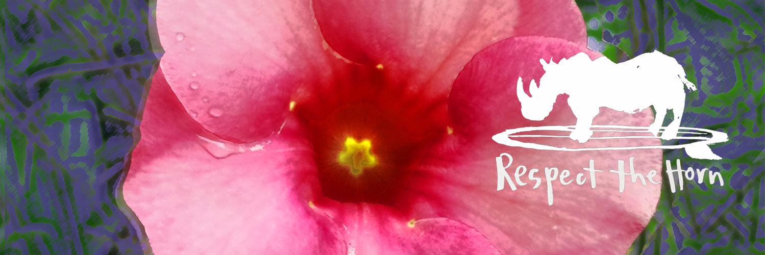 txddbxrtxn's profile banner image