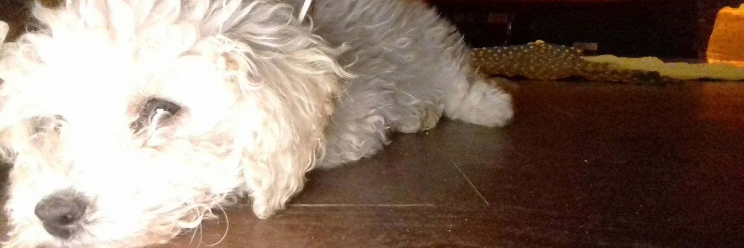 Alan Martinez banner