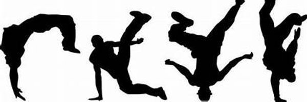 naro2017 Profile Banner