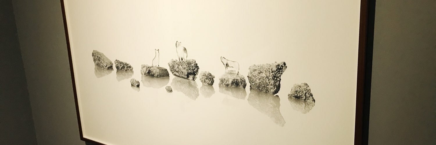 yk_1096's profile banner image