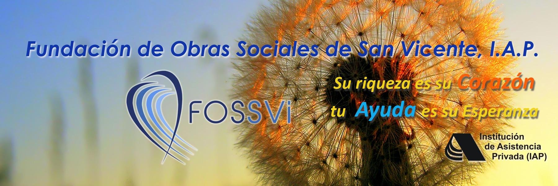 Fossvi's profile banner image