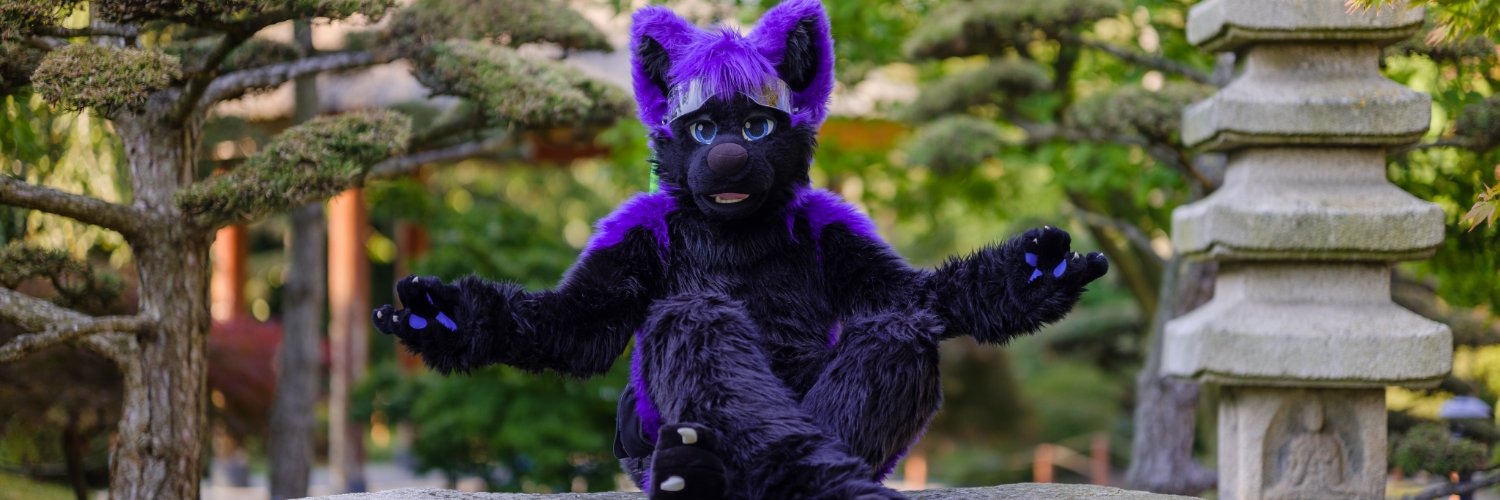 RipsterCuddle's profile banner image