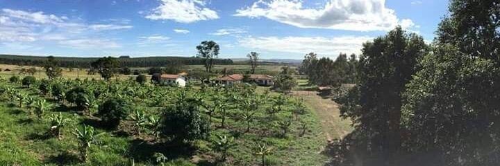 Pedro Paulo Whitaker banner