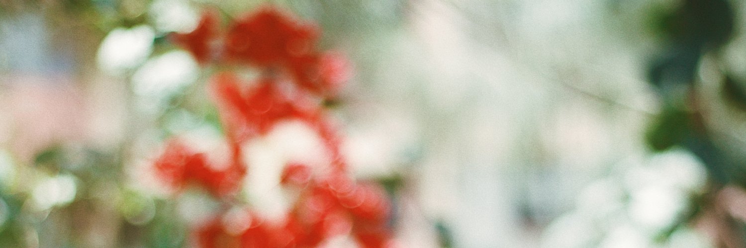 theswamiii's profile banner image