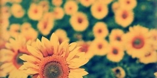 SNPSNS_LUV's profile banner image