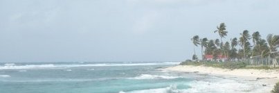 WilTerPer's profile banner image