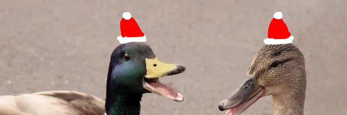 thewidget's profile banner image