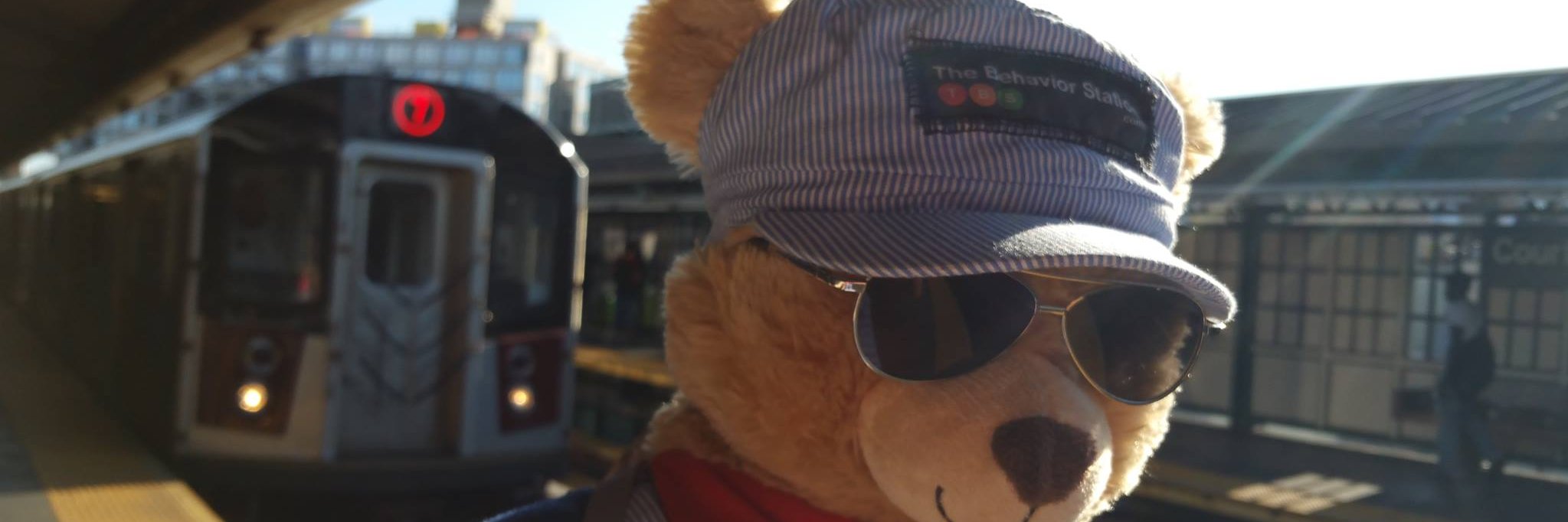 The Behavior Station banner