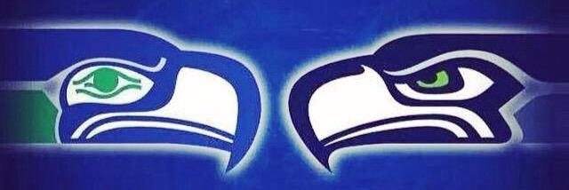 CarolinaSeahawk's profile banner image
