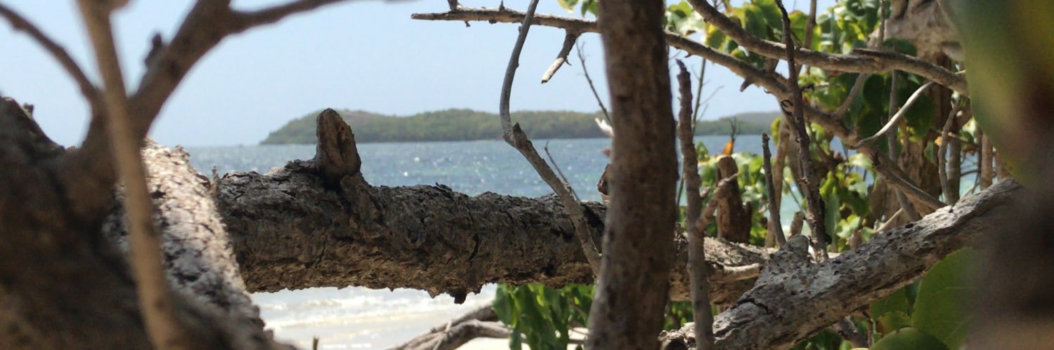 nsldcsr's profile banner image