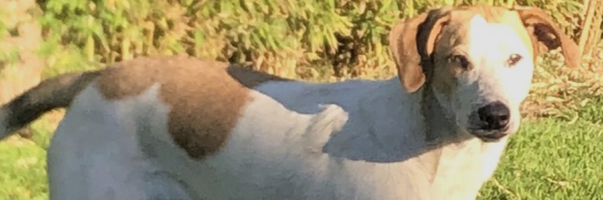 mateobaez22's profile banner image