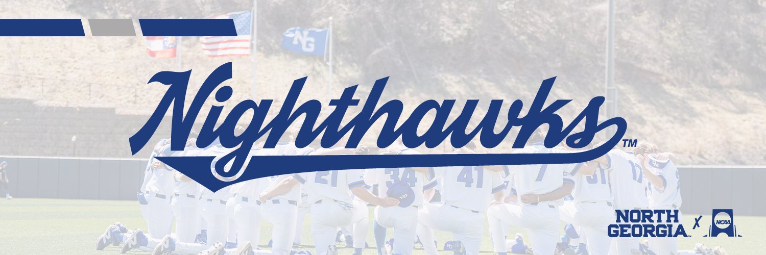 UNG Baseball banner