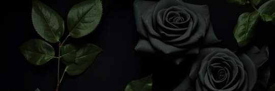 Deby Rodriz🌷 banner