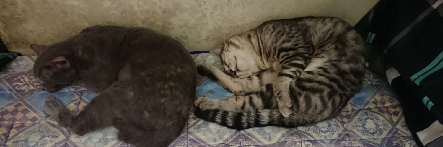 cathyfactoran's profile banner image