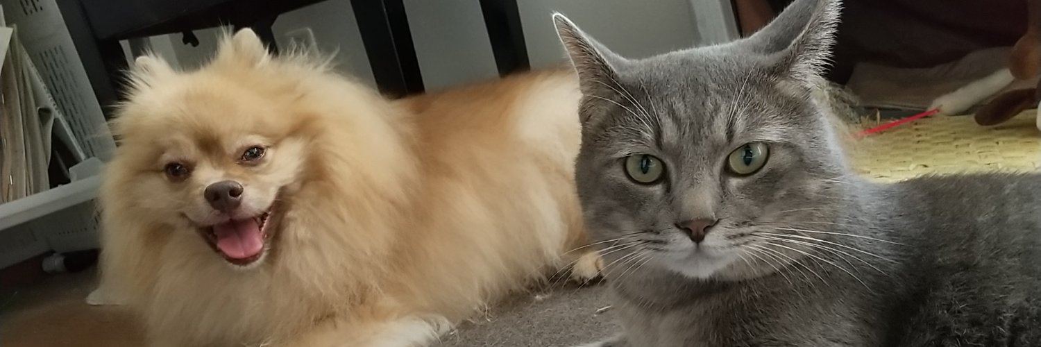 PomCatMaster's profile banner image
