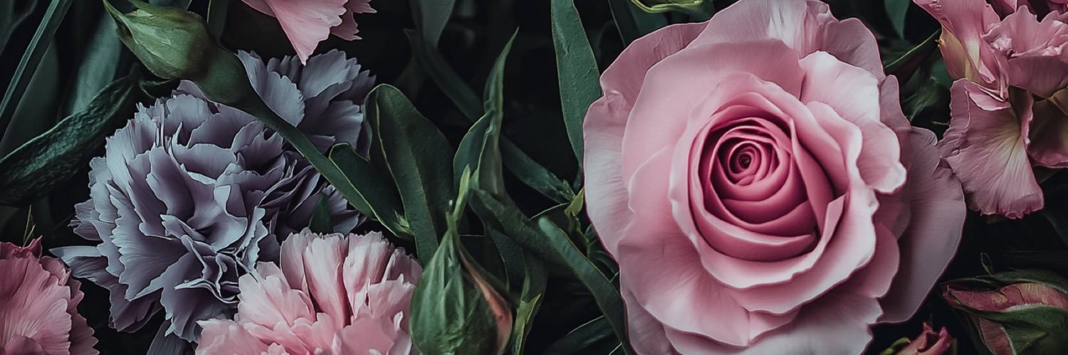 𓂀 banner
