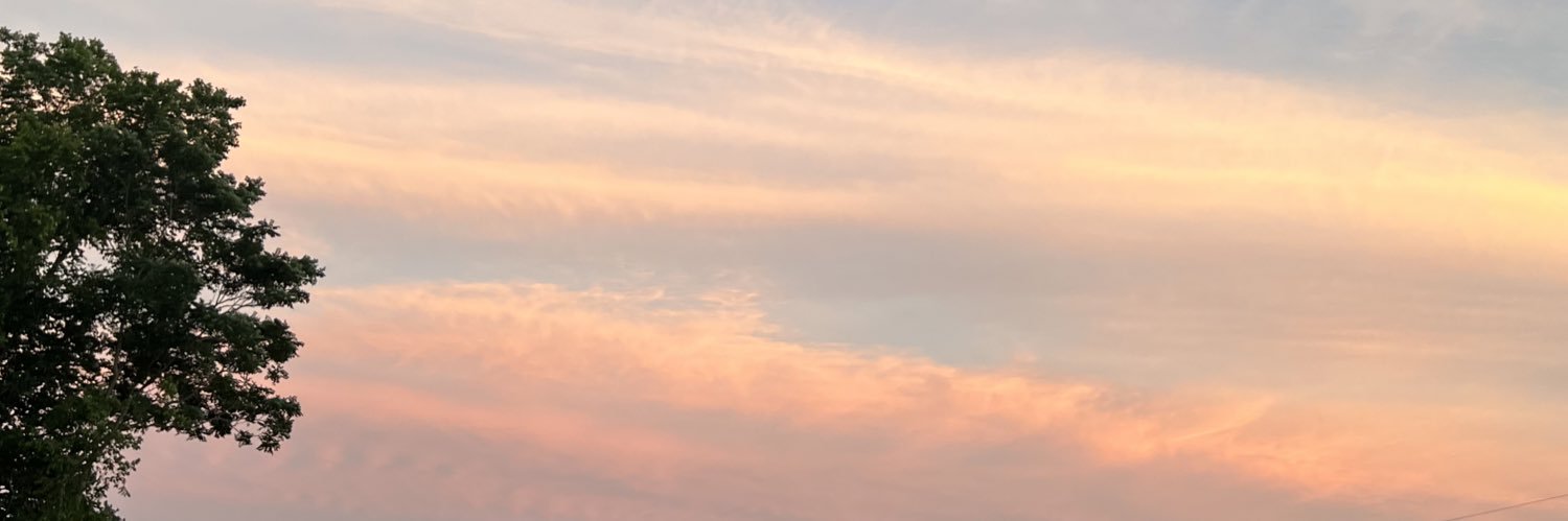 BaileyLis's profile banner image