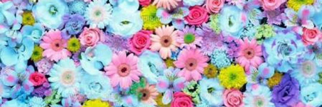 treasure_46's profile banner image