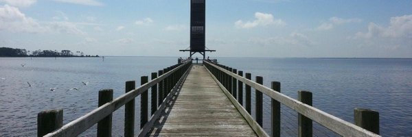 amelieqv Profile Banner