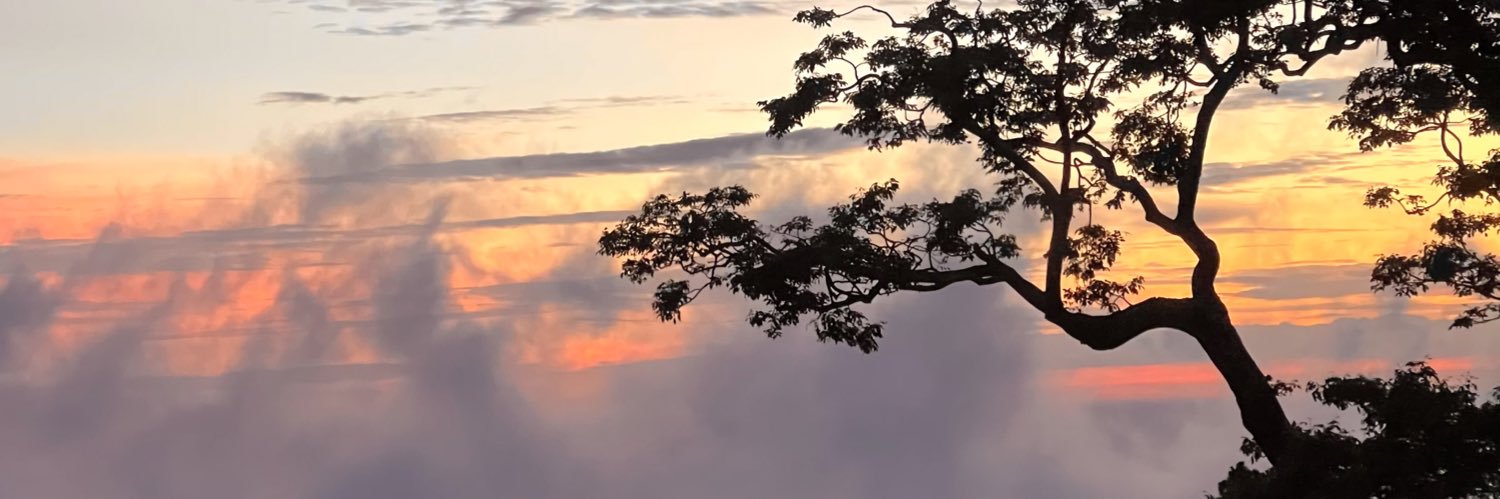 Ingridvaliente_'s profile banner image