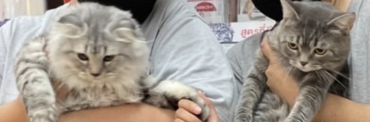 eapeappae's profile banner image