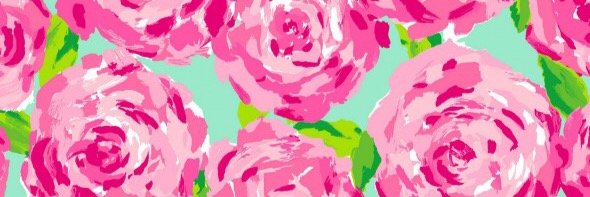 preppy2015's profile banner image