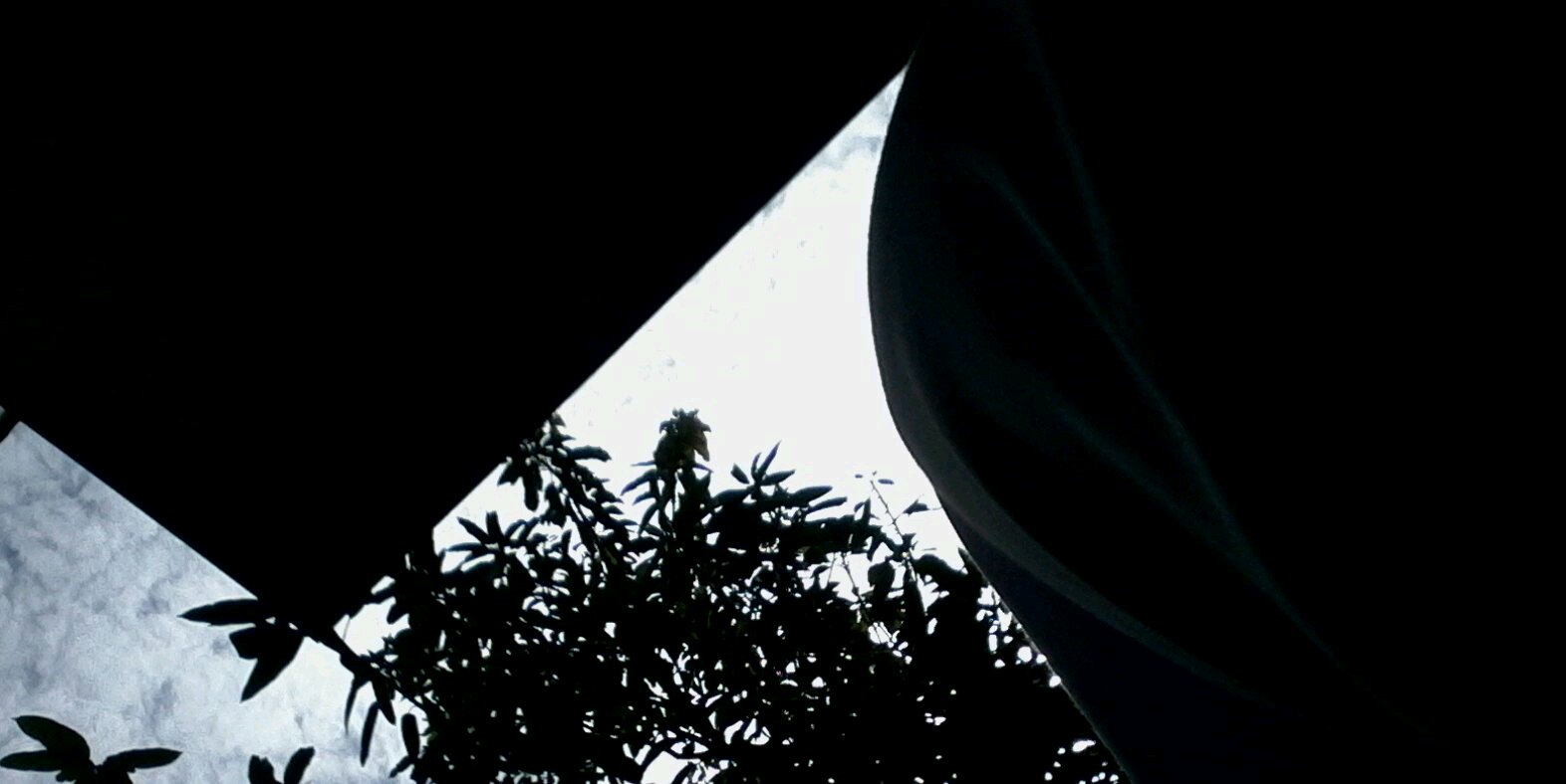 putri476's profile banner image