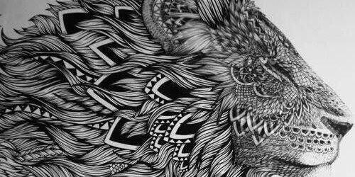 Collectingtax's profile banner image