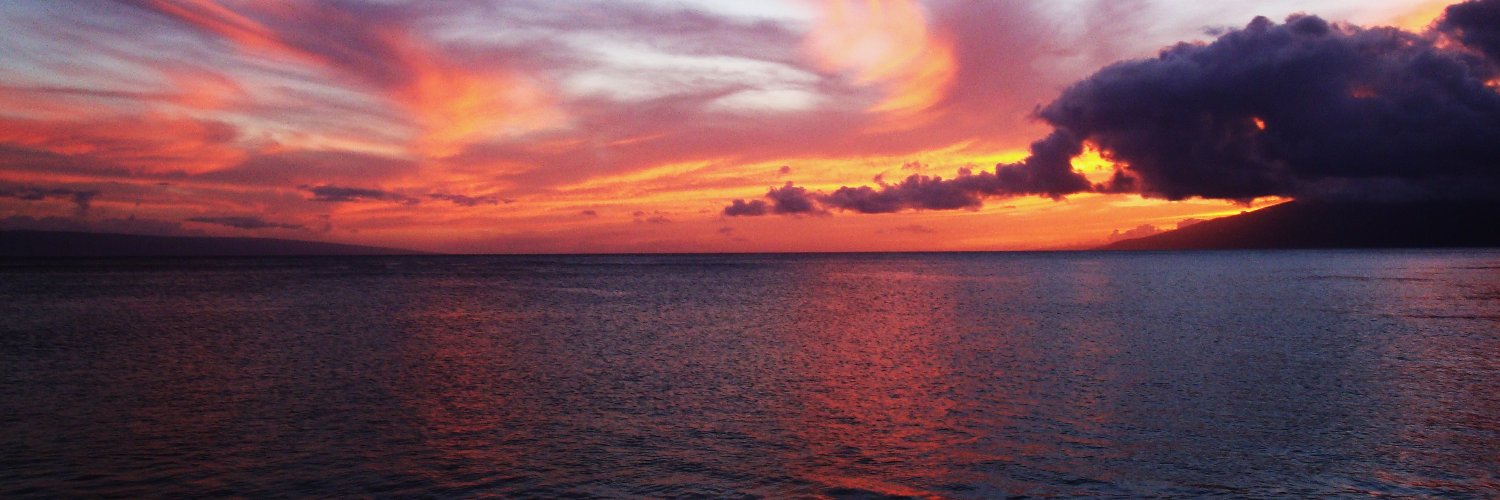 SF2Maui's profile banner image