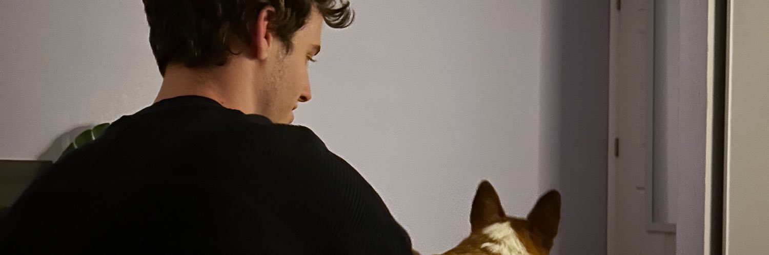 raspberrythy's profile banner image