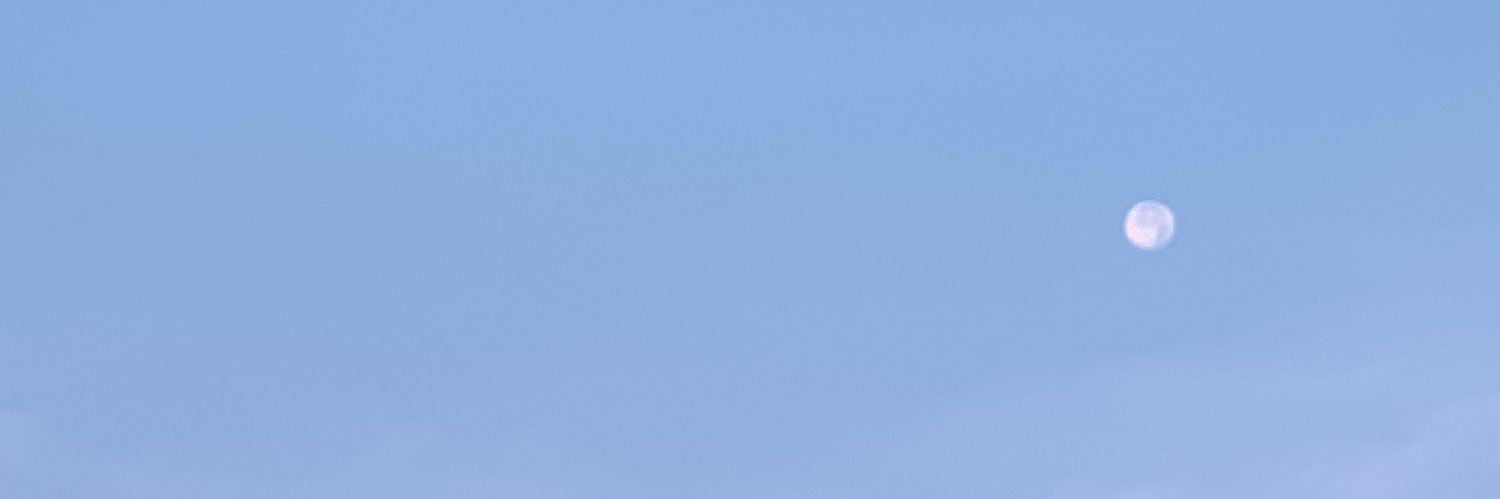 amerylym's profile banner image