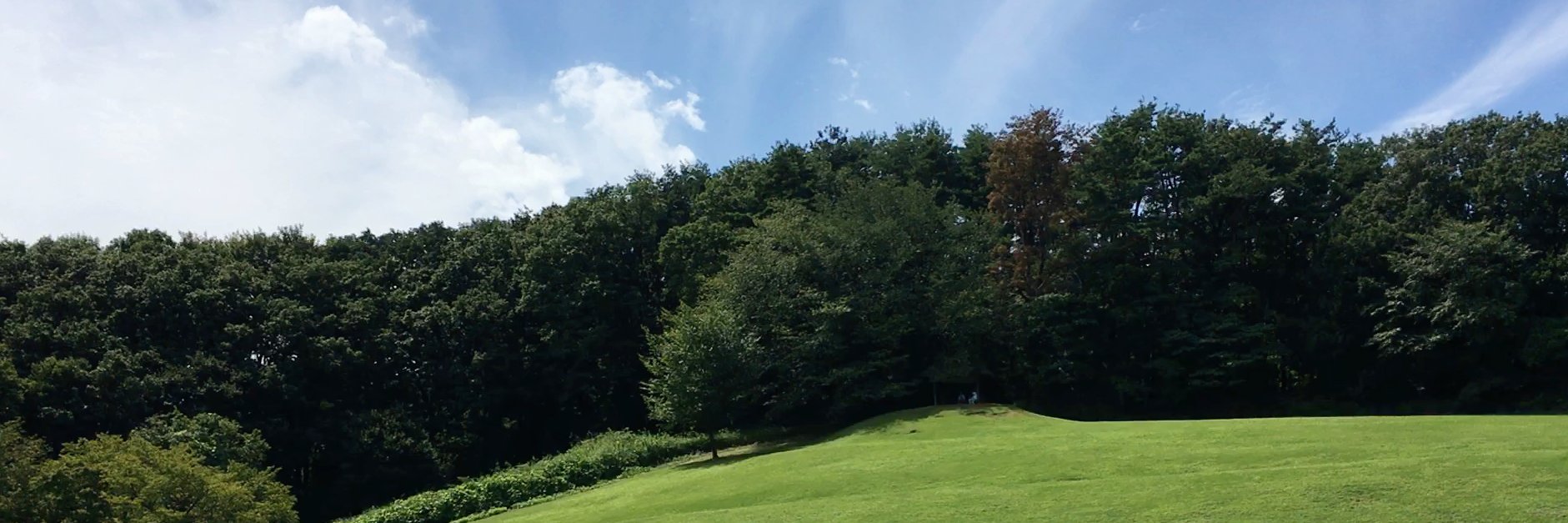 tora124's profile banner image