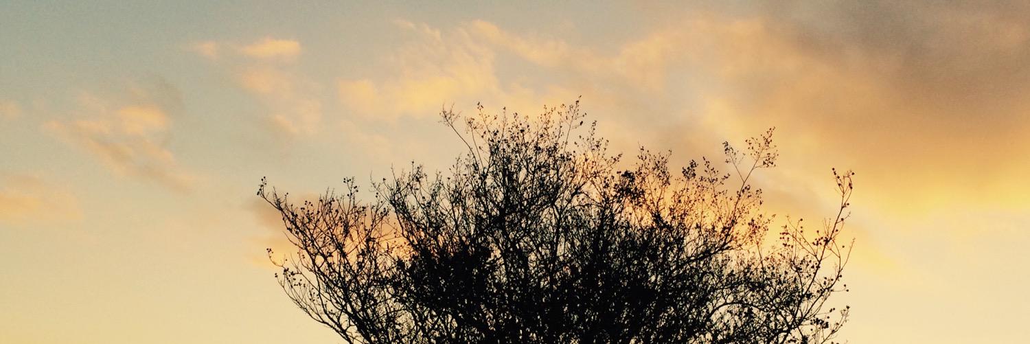 BellaYeet's profile banner image