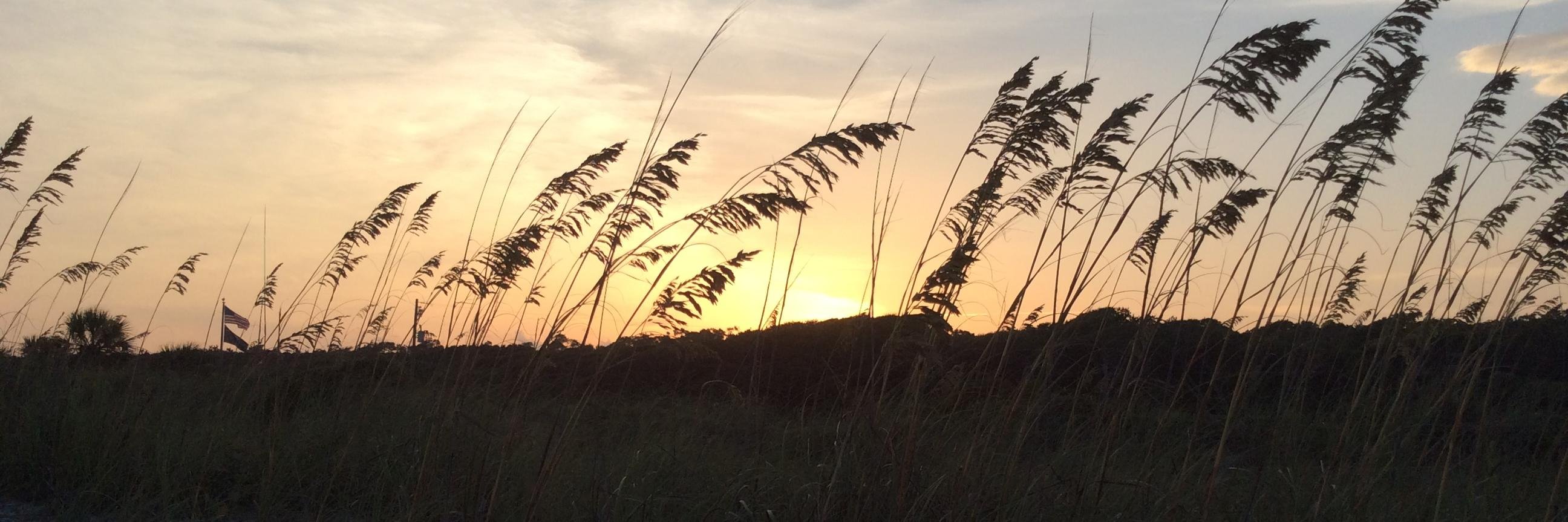 SherryChamblee's profile banner image