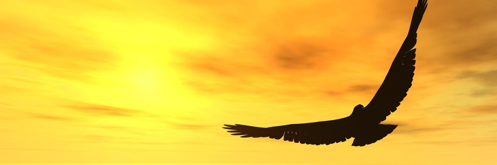 ErnestPrayers's profile banner image