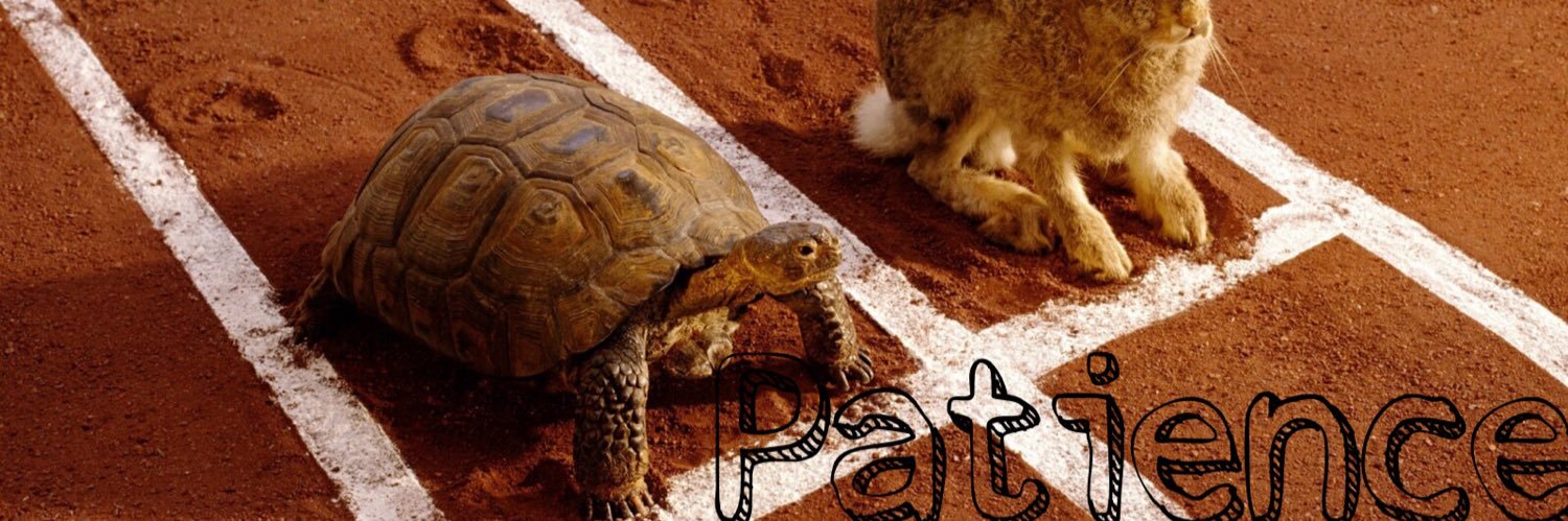 WiseGuy™️ banner