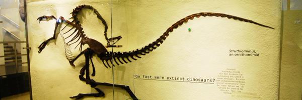 RejeetMathews Profile Banner