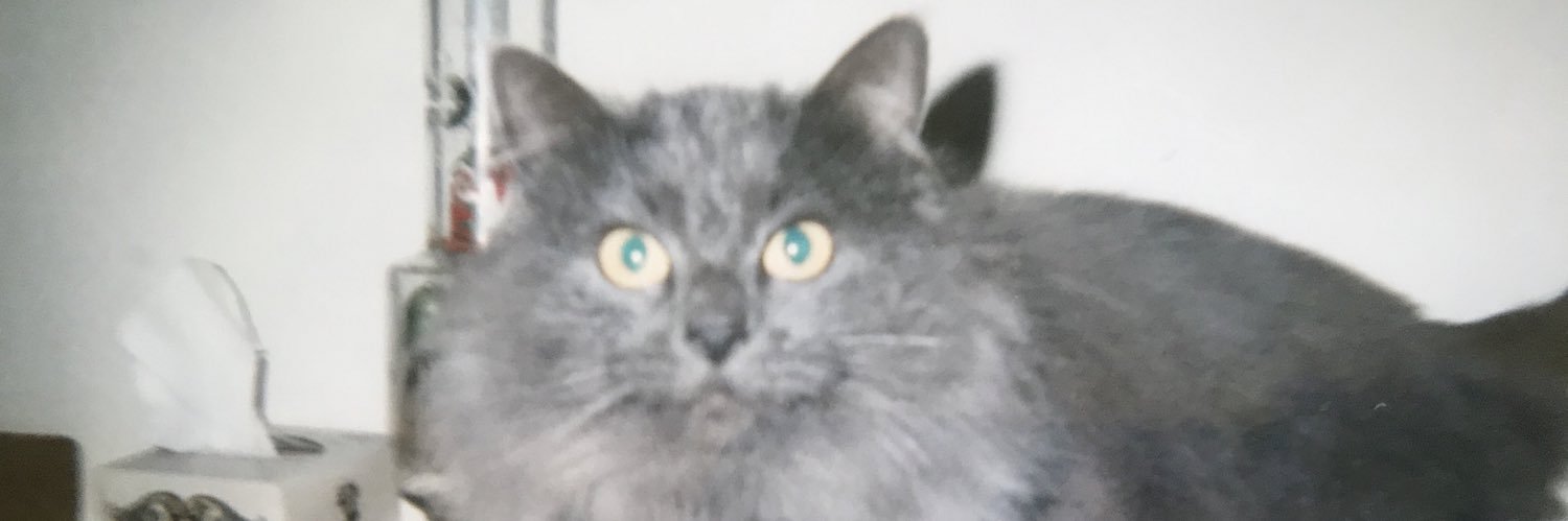 swbackspliff's profile banner image
