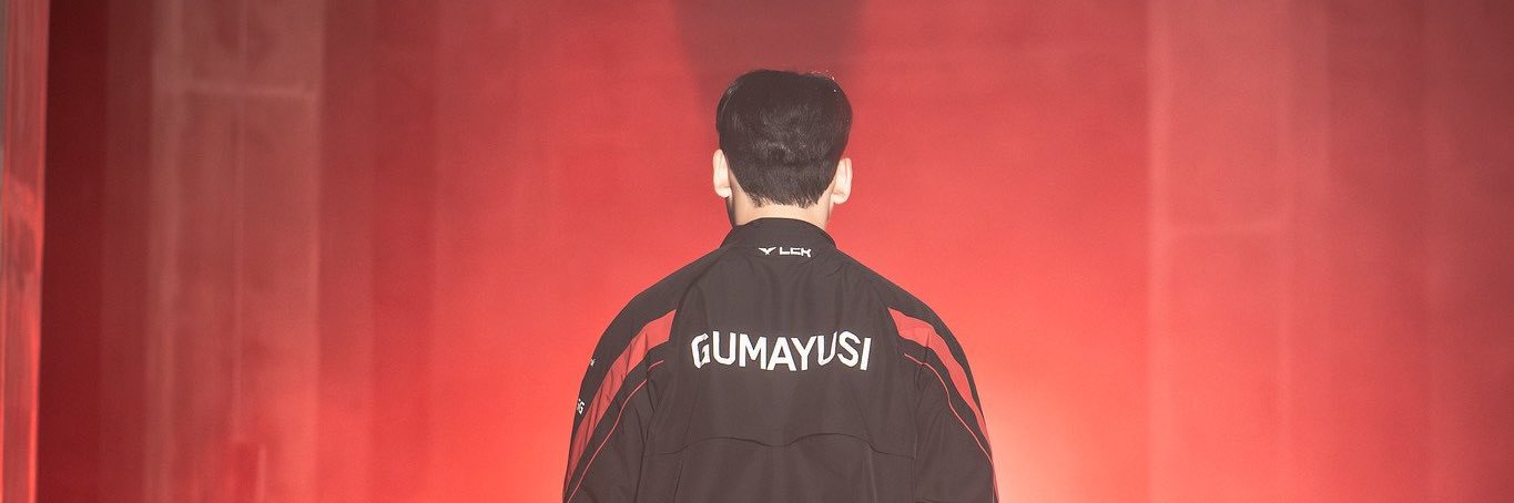 WuMi's banner