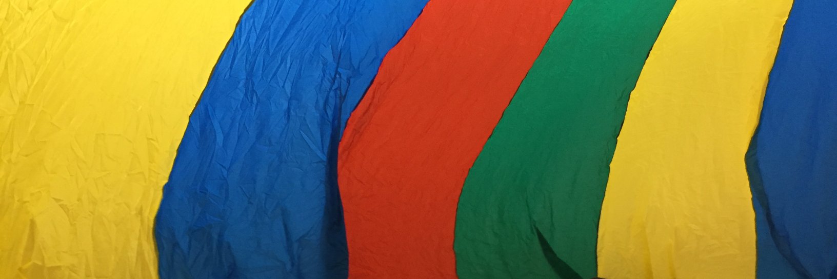 NallyPE345's profile banner image