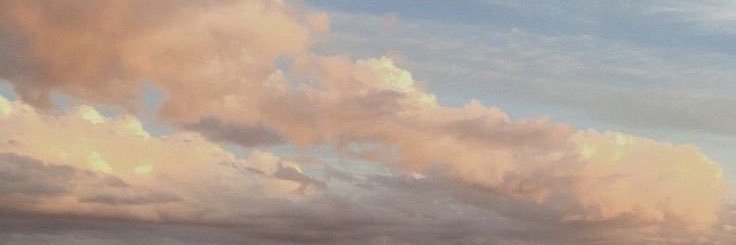 milkteameli's profile banner image