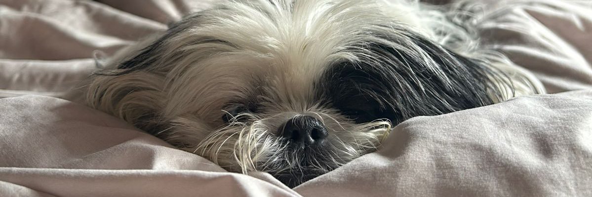 kateezamora's profile banner image